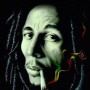 b2ovip.vip-blog.com